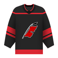 Carolina Hurricanes
