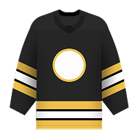 Boston Bruins
