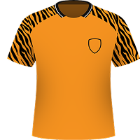 Hull City