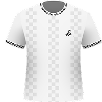 Swansea City