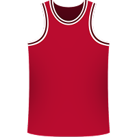 Chicago Bulls